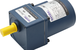 Reversible Motor